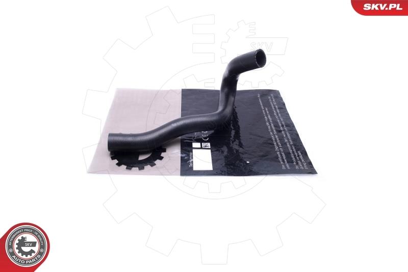 Radiator Hose